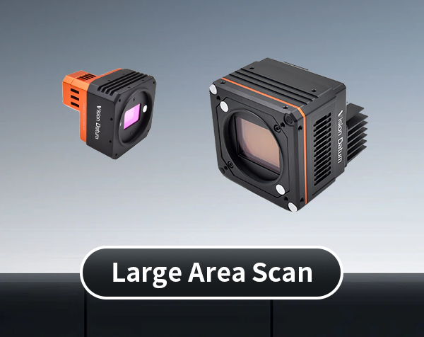 Large Area Camera